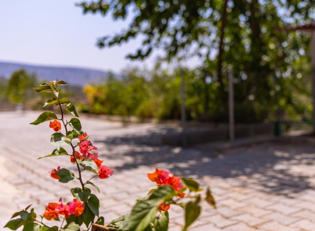Agach Aparts-Savran Milas Exteriér fotografie